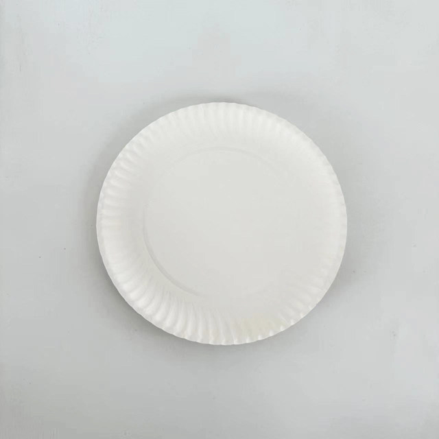 8inch white paper plate